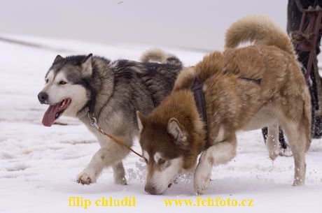 Hustopece 06 - 005.jpg